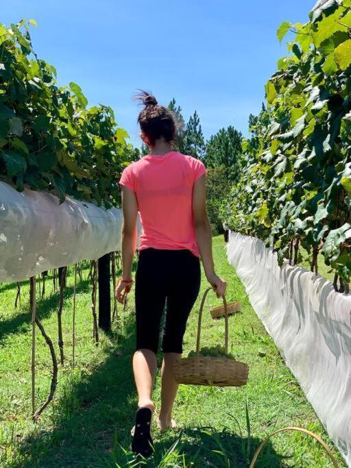 Quarto Dos Vinhos São Roque 외부 사진
